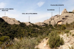 Secció Palomera