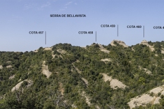 Secció Bellavista