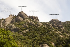 Secció Montgròs