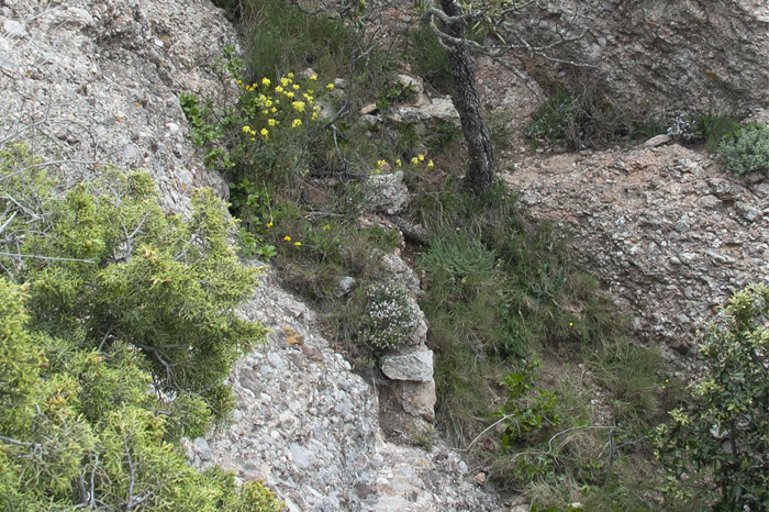 Una rampa facilita l’accés a l’estructura obrada de la roca Merlet sota de l’ermita de sant Antoni